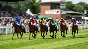 Starterfeld beim Aufgalopp auf einer deutschen Galopprennbahn